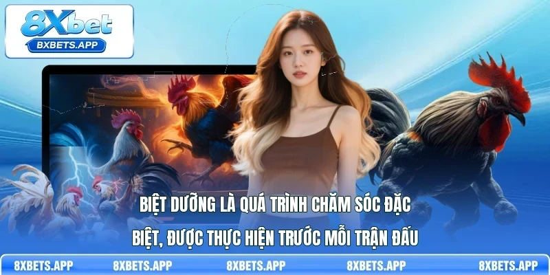 Biệt dưỡng là quá trình chăm sóc đặc biệt, được thực hiện trước mỗi trận đấu