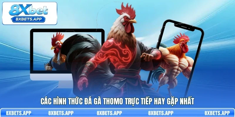 Các hình thức đá gà Thomo trực tiếp hay gặp nhất