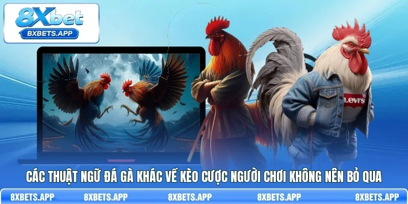 Các thuật ngữ đá gà khác về kèo cược người chơi không nên bỏ qua