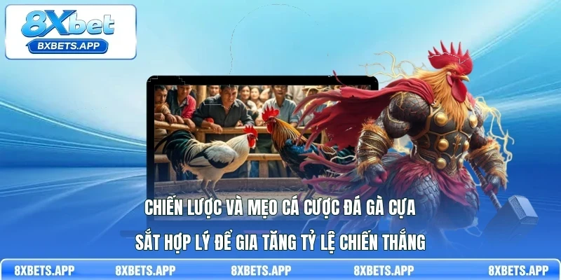 Chiến lược và mẹo cá cược đá gà cựa sắt hợp lý để gia tăng tỷ lệ chiến thắng