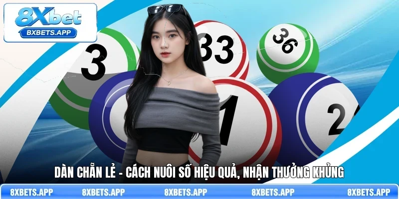 Dàn chẵn lẻ - Cách nuôi số hiệu quả, nhận thưởng khủng