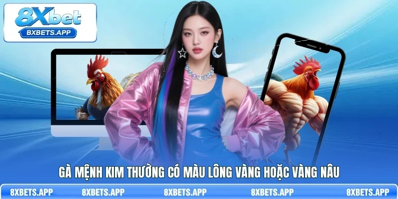 Gà mệnh Kim thường có màu lông vàng hoặc vàng nâu