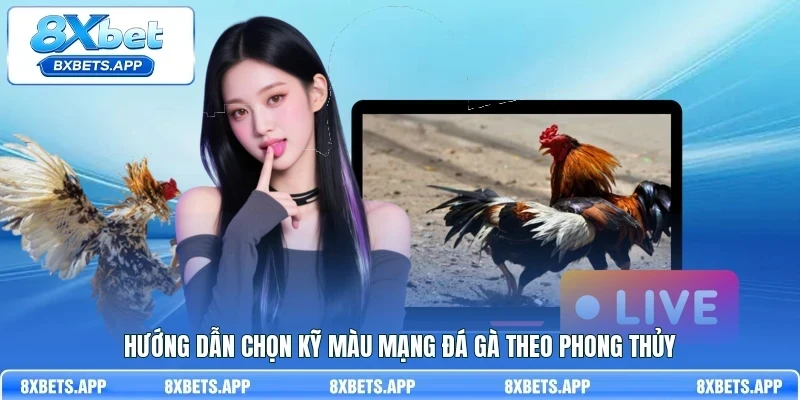 Hướng dẫn chọn kỹ màu mạng đá gà theo phong thủy