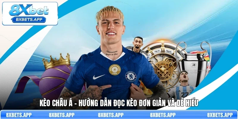 Kèo Châu Á - Hướng dẫn đọc kèo đơn giản và dễ hiểu