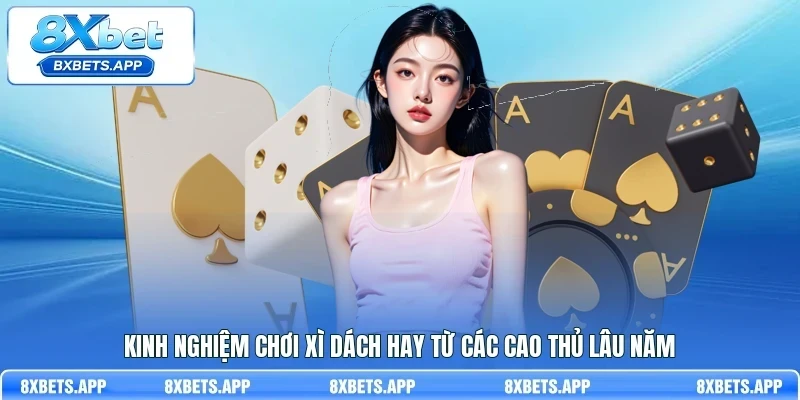 Kinh nghiệm chơi xì dách hay từ các cao thủ lâu năm