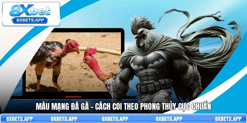 Màu mạng đá gà - Cách coi theo phong thủy cực “chuẩn”