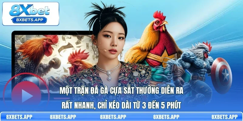 Một trận đá gà cựa sắt thường diễn ra rất nhanh, chỉ kéo dài từ 3 đến 5 phút