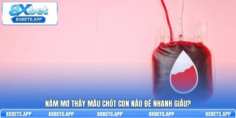 Nằm mơ thấy máu chốt con nào để nhanh giàu?