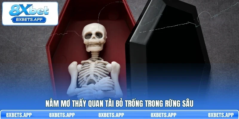 Nằm mơ thấy quan tài bỏ trống trong rừng sâu