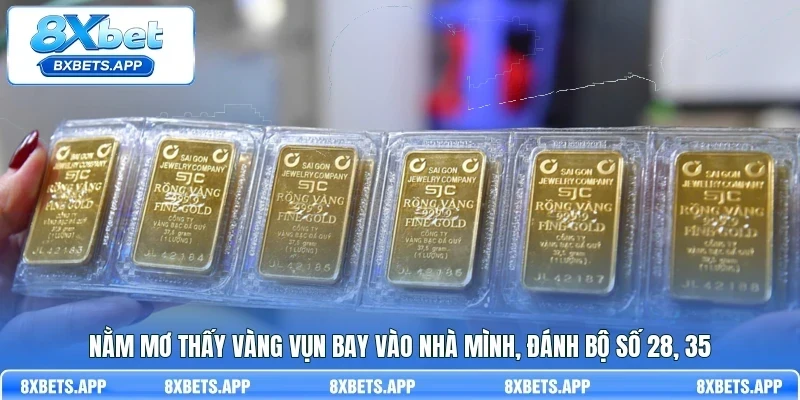 Nằm mơ thấy vàng vụn bay vào nhà mình, đánh bộ số 28, 35