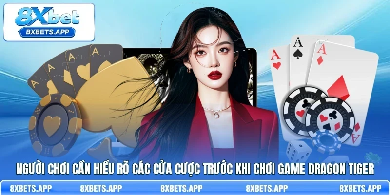 Người chơi cần hiểu rõ các cửa cược trước khi chơi game Dragon Tiger