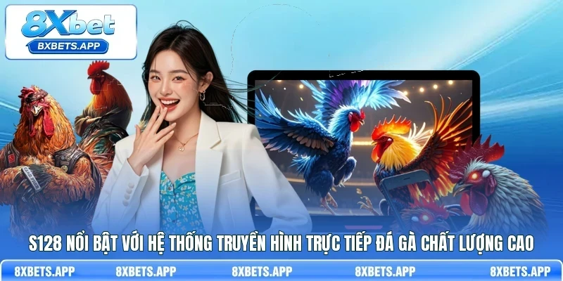 S128 nổi bật với hệ thống truyền hình trực tiếp đá gà chất lượng cao