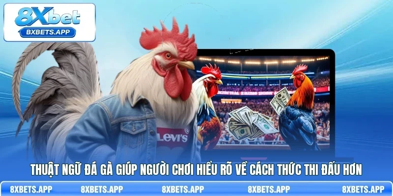 Thuật ngữ đá gà giúp người chơi hiểu rõ về cách thức thi đấu hơn