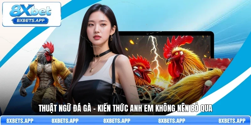 Thuật ngữ đá gà - Kiến thức anh em không nên bỏ qua