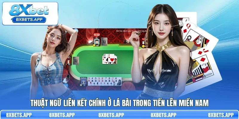 Thuật ngữ liên kết chính ở lá bài trong Tiến Lên Miền Nam