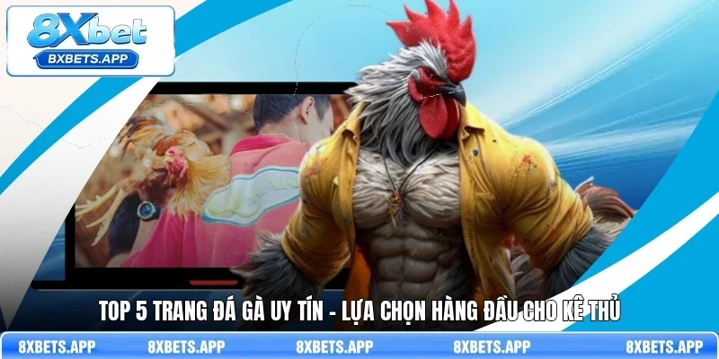 Top 5 trang đá gà uy tín – Lựa chọn hàng đầu cho kê thủ