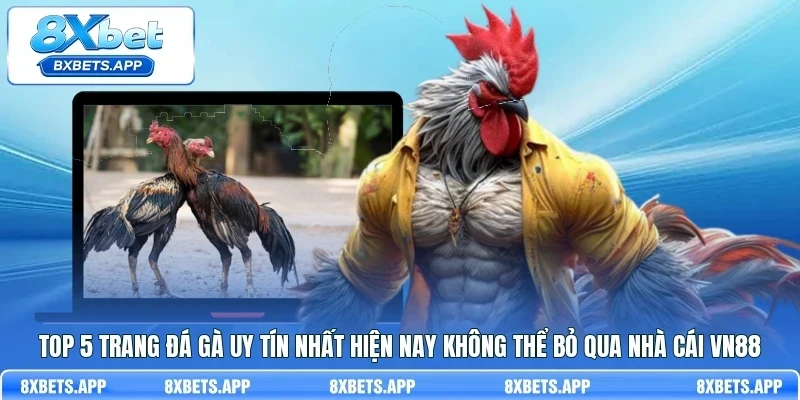 Top 5 trang đá gà uy tín nhất hiện nay không thể bỏ qua nhà cái VN88