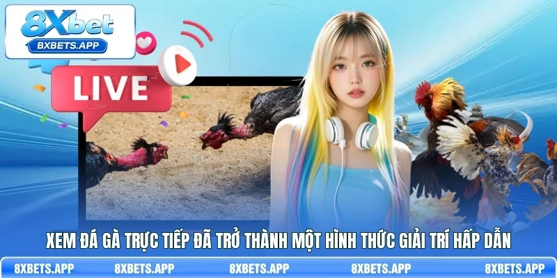Xem đá gà trực tiếp đã trở thành một hình thức giải trí hấp dẫn