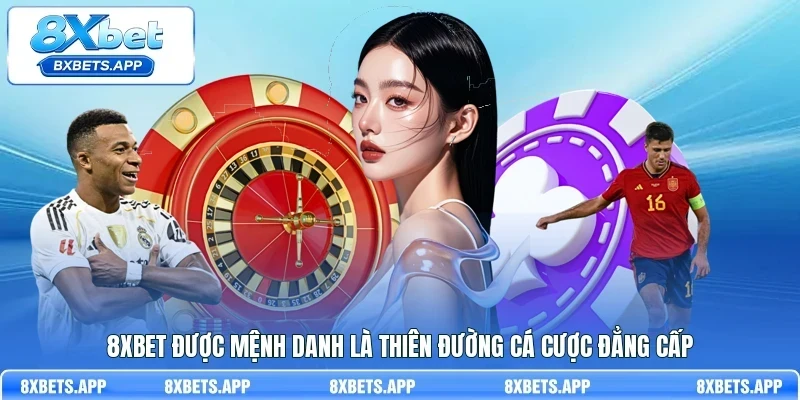 8Xbet được mệnh danh là thiên đường cá cược đẳng cấp